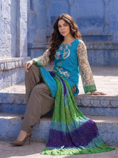 Peacock Court – Bareez Lawn Appliqué 3 Piece Suit
