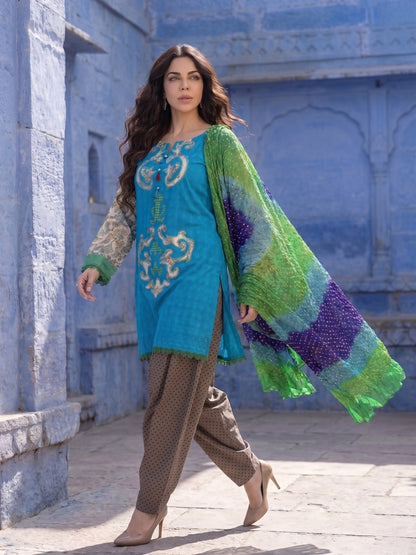 Peacock Court – Bareez Lawn Appliqué 3 Piece Suit